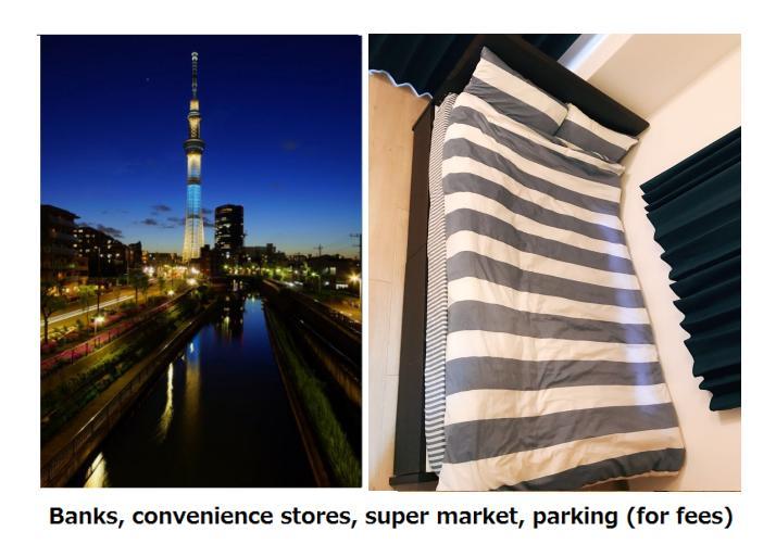 Skytree Guest 401 *