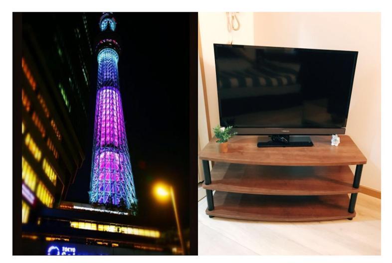 Skytree Guest 401